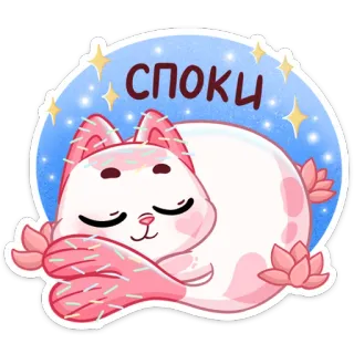😴 244a6785 СПОКИ gatto, dormire, carino, kawaii, animale, cartone animato telegram sticker