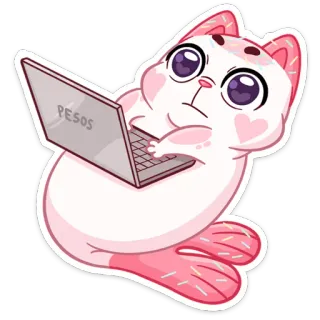 😐 cf0f92f5 PESOS gatto, laptop, soldi, cartone animato, adesivo, pesos telegram sticker