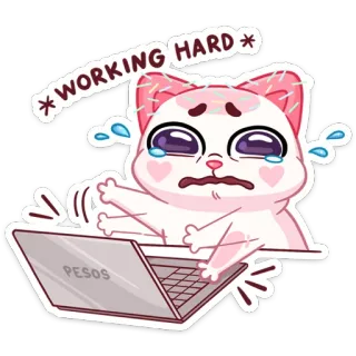 🔥 dd6aedd4 WORKING HARD gatto, lavoro, duro, laptop, pesos, carino, cartone animato telegram sticker