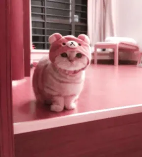 🌷 0f96bf3c chat, chaton, animal de compagnie, animal, ours, mignon, kawaii telegram sticker