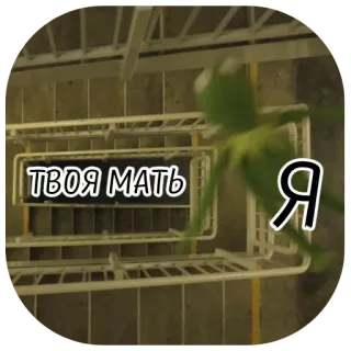 🐸 12919d98 ТВОЯ МАТЬ Я kermit, escadas, ofensivo, humor, insulto, sapo, meme whatsapp sticker
