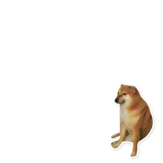 🤓 34c760f1 Cheems doge, cachorro, meme, cheems, meme da internet whatsapp sticker