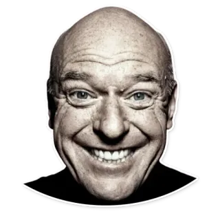 M for Memes 🐸 @savelifeua whatsapp stickers