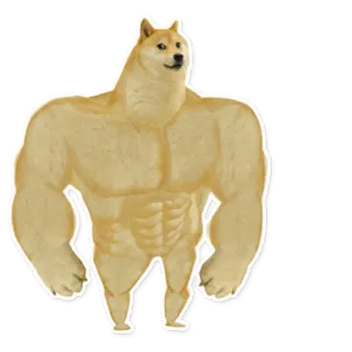 💪 c004a962 doge, doge musculoso, cachorro forte, meme, animal, cão whatsapp sticker