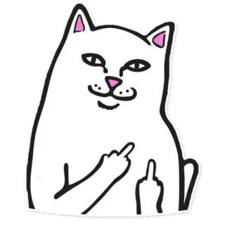 🖕 fce236c6 gato, dedo do meio, rude, ofensivo, ilustração, animal whatsapp sticker