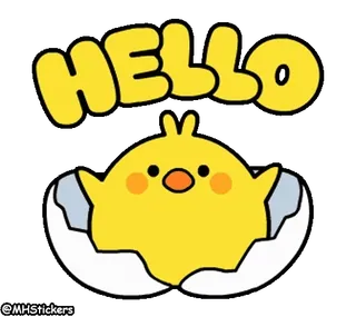 ✋ ca30172a HELLO 小鸡, 鸟, 你好, 问候, 卡通, 可爱, 动物 whatsapp sticker