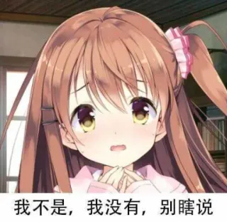 🥺 e69d2d4b 我不是，我没有，别瞎说 动漫女孩, 卡通, 可爱, 中文文本, 棕色头发 telegram sticker