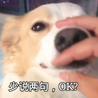 ❤️ 3356c252 少说两句,OK? dog, animal, pet, chinese, text, close up telegram sticker