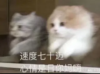 🌚 71b988f9 速度七十迈
心情是日你妈呀 cats, offensive, meme, chinese telegram sticker