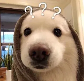 ❤️ b8285ddf dog, question marks, confused, pet, animal, cute telegram sticker