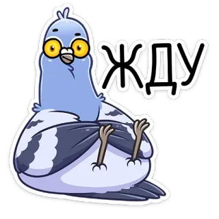 🙂 05deedcc ЖДУ gołąb, ptak, czekanie, okulary, kreskówka telegram sticker