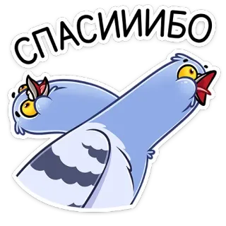☺️ 759225b9 СПАСИИБО dziękuję, gołąb, ptak, rosyjski, dziękuję, ptaki, naklejki telegram sticker