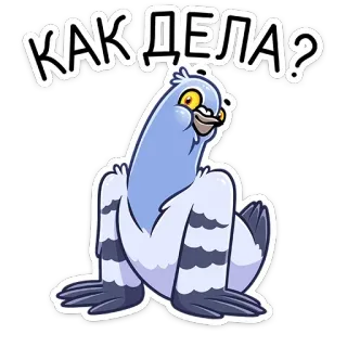 ☺️ 8bcf37c5 КАК ДЕЛА? gołąb, ptak, kreskówka, powitanie, rosyjski telegram sticker