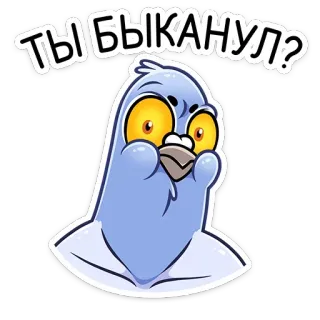 🍾 9f48f4b3 ТЫ БЫКАНУЛ? gołąb, ptak, zły, kreskówka telegram sticker