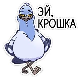 😏 f6f47450 Эй, крошка ptak, gołąb, kreskówka, śmieszne telegram sticker