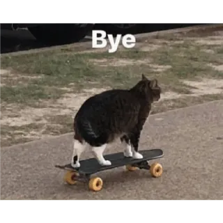 👍 f42cb784 Bye cat, skateboard, animal, pet, humor, funny, meme telegram sticker