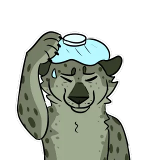 Midori Leopard whatsapp stickers