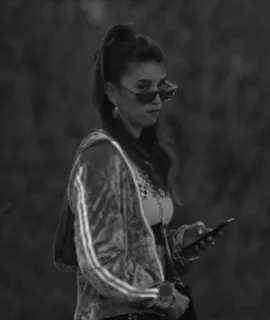 🐾 1be0d25b telegram sticker