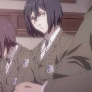 ✷ ࣪˖ Mikasa ackerman  ִֶָ @yourtikel whatsapp stickers