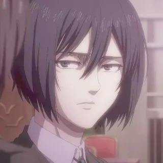 ✷ ࣪˖ Mikasa ackerman  ִֶָ @yourtikel whatsapp stickers