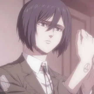 ✷ ࣪˖ Mikasa ackerman  ִֶָ @yourtikel telegram stickers