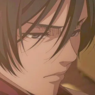 🔖 38f78c9f Mikasa Ackerman Attack on Titan アニメ, キャラクター, ミカサ, アッカーマン, 進撃の巨人 telegram sticker