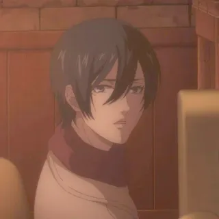 ✷ ࣪˖ Mikasa ackerman  ִֶָ @yourtikel whatsapp stickers