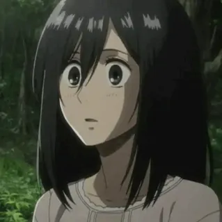 ❤️ 07a5d518 Mikasa Ackerman Attack on Titan Anime, Ragazza, Personaggio, Mikasa, L'Attacco dei Giganti telegram sticker