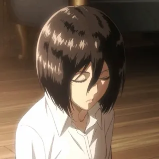 ❤️ 490609f4 Mikasa Ackerman Attack on Titan Anime, Ragazza, Mikasa, L'attacco dei giganti telegram sticker