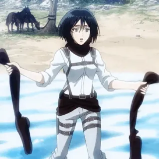 ❤️ 71fda490 Mikasa Ackerman Attack on Titan Anime, Personaggio, L'attacco dei giganti, Mikasa Ackerman telegram sticker