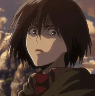 ❤️ 76bb27fb Mikasa Ackerman Attack on Titan Anime, Personaggio, L'attacco dei giganti, Mikasa Ackerman, Manga, Preoccupato/a telegram sticker