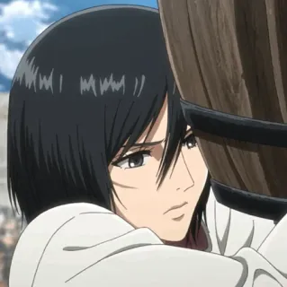 ❤️ 973ca27b Mikasa Ackerman Attack on Titan Anime, Mikasa, Ackerman, L'attacco dei giganti, AOT telegram sticker