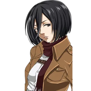 😒 7e380480 Mikasa Ackerman Attack on Titan Anime, Manga, Charakter, Mikasa, Attack on Titan telegram sticker