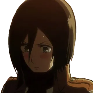 🙈 d5c9b16b Mikasa Ackerman Attack on Titan Anime, Charakter, Mikasa, Ackermann, Attack on Titan telegram sticker