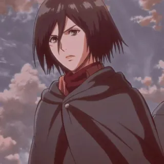 Mikasa ackerman @TikelAnimeXixixi whatsapp stickers