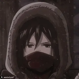 🧣 da72a192 Mikasa Ackerman Attack on Titan Anime, Personaggio, Manga, L'Attacco dei Giganti, Mikasa telegram sticker
