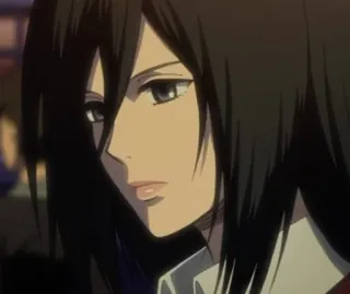 🌿 14717ede Mikasa Ackerman Attack on Titan Anime, Cartoon, Personage, Mikasa, Ackerman, Attack on Titan telegram sticker