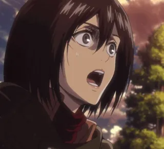 🌿 27f4c9ce Mikasa Ackerman Attack on Titan Anime, Personage, Attack on Titan, Mikasa Ackerman, bezorgd telegram sticker