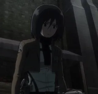 🌿 477a5e0d Mikasa Ackerman Attack on Titan Anime, Manga, Attack on Titan, Mikasa Ackerman, AoT, Personage, Meisje telegram sticker