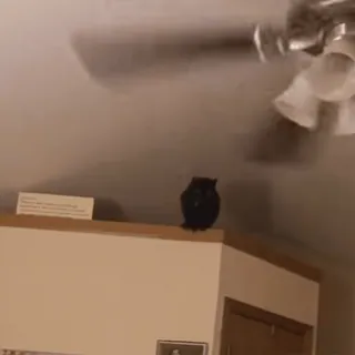 🤩 7ae69de1 telegram sticker