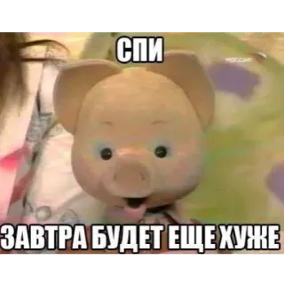 😴 db19a905 СПИ
ЗАВТРА БУДЕТ ЕЩЕ ХУЖЕ ロシア, ミーム, 豚, テキスト, 面白い telegram sticker