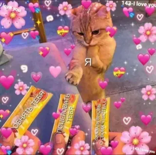 ❤️ 69475ae6 ДОБНЯТЬ ТЕБЯ
ПОЦЕЛОВАТЬ
ТЕБЯ
СКАЗАТЬ ВНОВЬ
О СВОИХ ЧУВСТВАХ
Я
143-I love you gato, amor, corazones, flores, lindo whatsapp sticker