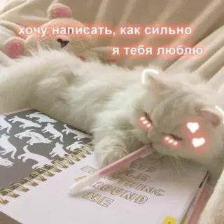 ❤️ d062b007 хочу написать, как сильно я тебя люблю gato, amor, escritura, lindo, bolígrafo whatsapp sticker