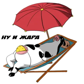 ☀️ 05a13738 НУ И ЖАРА Kuh, Strand, Sonne, Sommer, Entspannung, russisch, Hitze telegram sticker