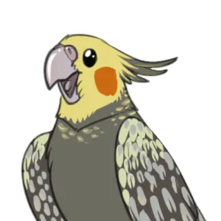 🦜 ad92397e cockatiel, oiseau, perroquet, animal, animal de compagnie, mignon, jaune telegram sticker