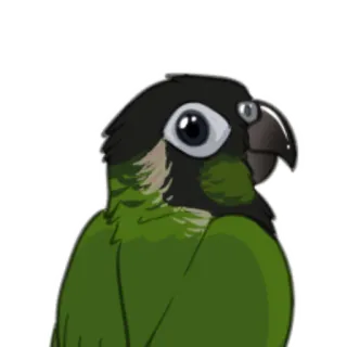 🦜 fbe20605 oiseau, conure, vert, animal, perroquet telegram sticker