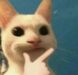 🧐 99bf1e59 gato, pensando, meme, gracioso, animal, mascota, lindo whatsapp sticker