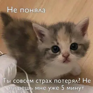 😡 adf480d0 Не поняла
Ты совсем страх потерял? Не пишешь мне уже 5 минут gatito, gato, lindo, animal, mascota, ruso whatsapp sticker