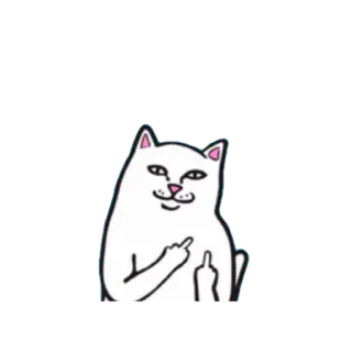 🖕 2fc258f0 Katze, Stinkefinger, beleidigend, Aufkleber, Tier, Geste telegram sticker