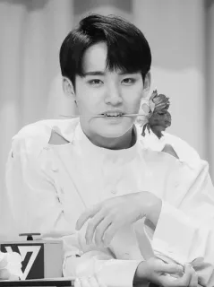 ✖️ 88b3210a homem, pessoa, rosa, flor, retrato, preto e branco telegram sticker